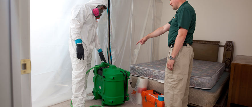 Wesley Chapel, FL mold removal process